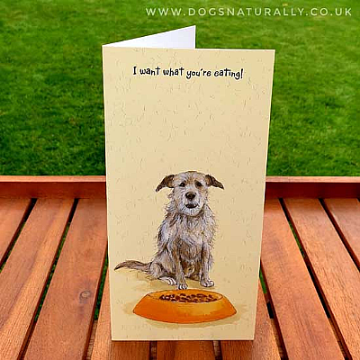 Scraps Dog Lover Card